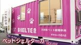 「ここならペットもパニックにならずに過ごせる」ペット同伴できない避難所に対応した「ペットシェルターカー」も展示 津波防災センターで防災・減災学ぶ「実際に災害が起きたときに利用できたら」 八戸市|TBS NEWS DIG
