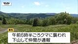 襲われた男性は頬の骨を折るなどの大ケガ 朝日町で70歳男性がクマに襲われる 穴から出てきたクマに襲われたか 男性は山菜採りで山に入る(山形) |TBS NEWS DIG