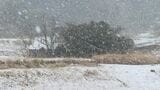 山口県内強い冷え込み 山間部を中心に積雪 あす昼までの24時間に平地で3センチの予想|TBS NEWS DIG