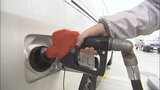 ガソリン価格が9週連続値上がり　1リットル175.1円　要因は原油価格の値上がり|TBS NEWS DIG