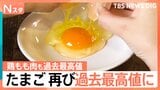 「物価の優等生」が再び最高値に　卵に鶏もも肉…食品価格の高止まりはいつまで続く？【Nスタ解説】|TBS NEWS DIG