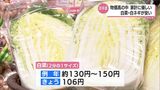 物価高なのに 鍋料理に必要な白菜や白ネギなどの冬野菜がお買い得に | MRTニュース | MRT宮崎放送
