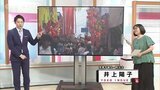 きょうは七夕。しかし「催涙雨」織姫と彦星会えない二人が流す涙の天気 富山|TBS NEWS DIG