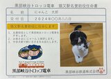 “猫” がつく駅 ここだけニャーン！「猫又駅」 “名誉助役”に442匹…任命書と缶バッジを贈呈　黒部峡谷鉄道トロッコ電車　富山　|　富山のニュース｜天気・防災｜チューリップテレビ
