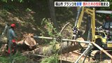 ブランコを直撃　倒れた木の伐採 始まる　広島･福山市の公園　|　RCC NEWS | 広島ニュース | RCC中国放送