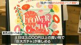 大分市の中心市街地を花でいっぱいに! 回遊イベント「フラワー・ガチャ」初開催 | 大分のニュース|OBS NEWS|大分放送