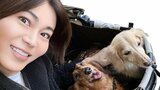 【氷川きよし】愛犬らと「エナジー補給！」千葉の海辺で自然浴|TBS NEWS DIG