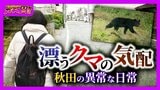 【秋田のクマ被害】記者が故郷で見た『異常な日常』思い出の公園・見慣れた通学路…街中に漂うクマの気配「昔じゃ絶対ありえない」【ガチの門】|TBS NEWS DIG