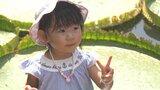 子どもたちが特別な体験にドキドキ 海地獄でお盆恒例の「オオオニバス乗り」 大分・別府市 | 大分のニュース|OBS NEWS|大分放送