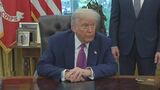 トランプ大統領 「反乱法」の発動可能性示す 米ロサンゼルスで続く抗議デモについて|TBS NEWS DIG
