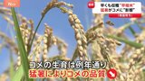「銘柄米の価格下がってない」早くも収穫始まるコメ　消費者の納得できる価格まで下がるか|TBS NEWS DIG