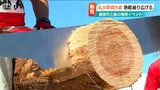 「腕の感覚?ないです…」三島伝統の『全日本丸太早切選手権大会』新潟県長岡市|TBS NEWS DIG