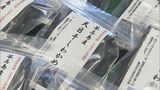 中学生が育てた「ワカメ」を販売  地元で盛んなワカメ養殖知るため  種付けから収穫まで1年間かけて学ぶ  三重・鳥羽市「答志島」|TBS NEWS DIG