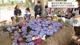 アジサイの花でおもてなし　保育園児が「花手水」作り　宮崎市・平和台公園|TBS NEWS DIG