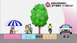オープンカフェも可能な「ほこみち」へ 生まれ変わる宮崎市の中心市街地 高千穂通り | MRTニュース | MRT宮崎放送