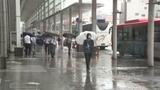 【大雨情報】落石と特急列車が接触し運転見合わせも | 愛媛のニュース - Nスタえひめ|あいテレビは6チャンネル