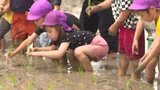 「どうやって食べたい？」→「ビビンバ！」幼稚園の園児が田植え体験 出来上がったコメは“おにぎり”の予定 愛媛県・松前町　|　愛媛のニュース - Nスタえひめ｜あいテレビは6チャンネル
