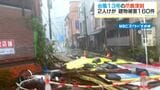 台風13号の爪痕深刻 奄美地方では2人けが・建物被害160件以上|TBS NEWS DIG