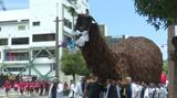 巨大な牛鬼が観客を魅了 伝統の「うわじま牛鬼まつり」最終日 愛媛・宇和島 | 愛媛のニュース - Nスタえひめ|あいテレビは6チャンネル