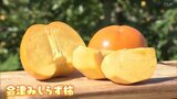 渋抜きはなぜ焼酎で？天ぷら、アイスも絶品の「みしらず柿」【市場で旬みっけ！】　|　福島のニュース│TUF