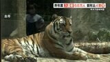熊本市動植物園 観光需要の回復などあり 入園者数増える | 熊本のニュース|RKK NEWS|RKK熊本放送