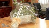 宮崎県内の農業青年が天皇皇后両陛下にみかんの花献上|TBS NEWS DIG