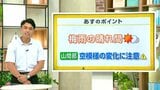 高知の天気　18日　梅雨の晴れ間も山沿いでは天気の急変に注意　山岸拓気象予報士が解説|TBS NEWS DIG