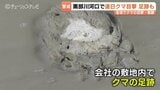 富山県内でクマの目撃が多発…黒部川河口で連日出没、射水市の太閤山ランドは臨時休園に 警察や猟友会がパトロール、周辺住民に警戒を呼びかけ|TBS NEWS DIG