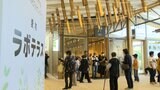 牧野植物園に新スポット誕生「未来の牧野博士」を育てる“オープンな研究室” | 高知のニュース・天気|KUTV NEWS | KUTVテレビ高知