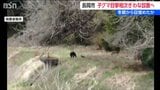 長岡市でクマの目撃相次ぎ捕獲用わなを設置　冬眠から覚め今月だけで12件の目撃情報　|　新潟のニュース・天気｜BSN NEWS｜BSN新潟放送