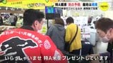 特A獲得「恋の予感」 広島県南部の産地で増産 希望のコメへ|TBS NEWS DIG