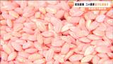 愛知県に次ぎ全国2位の栽培面積 田植え不要の省力化でコメ農家を応援 宮城・色麻町 | 宮城のニュース│tbc NEWS│tbc東北放送