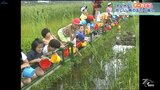 貴重な「クロメダカ」の住処が堤防工事で・・・小学生が引っ越し作戦 2001年の岩手・一関市【ホレホレアーカイブ】 | IBC NEWS | IBC岩手放送