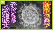 「手足口病」流行のなか…新型コロナの感染がじわり拡大　中心はセミのようにある日突然現れる変異株「セミ型」　患者数は“西高東低”で半数は子ども　【データで見る感染症】　|　MBSニュース | 関西の最新ニュースを分かりやすく。