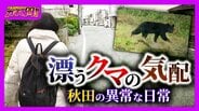 【秋田のクマ被害】記者が故郷で見た『異常な日常』思い出の公園・見慣れた通学路…街中に漂うクマの気配「昔じゃ絶対ありえない」【ガチの門】　|　MBSニュース | 関西の最新ニュースを分かりやすく。