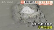 黒部川河口周辺でクマ目撃 | 富山のニュース|天気・防災|チューリップテレビ
