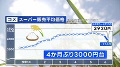 コメ平均価格4か月ぶりに3000円台に　5キロ3920円　前週より256円値下がり| TBS CROSS DIG with Bloomberg