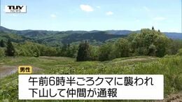 襲われた男性は頬の骨を折るなどの大ケガ　朝日町で70歳男性がクマに襲われる　穴から出てきたクマに襲われたか　男性は山菜採りで山に入る（山形）　|TBS NEWS DIG