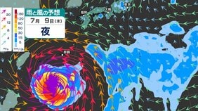 【“熱帯低気圧”発生か】新たな「台風のたまご」が今夜（29日）までに発生か…日本への影響、進路は？今後の「台風情報」に注意　7月9日（木）までの雨・風シミュレーション【気象庁 29日最新天気図】|TBS NEWS DIG