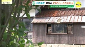 ツキノワグマに男性が引っかかれる 全国でも相次ぐクマ被害 なぜこの時期に 遭遇したときの対処方法は|TBS NEWS DIG