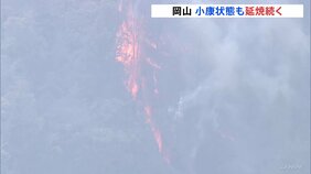 「雨を待つしかないな」岡山市の山林火災は現在も延焼中 自衛隊ヘリなど8機が消火活動続ける|TBS NEWS DIG