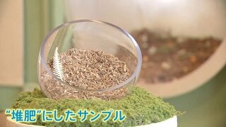 土に還る…アメリカで注目集める“堆肥葬”とは？「子どもたちが歩くたびに思い出してくれる」 新たな故人の送り方| TBS CROSS DIG with Bloomberg