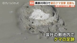 太閤山ランドがクマ目撃で休園措置…黒部市でも連日出没、富山県内で相次ぐ目撃情報 最新の状況と自治体の対応まとめ 富山・射水市 | 富山のニュース|天気・防災|チューリップテレビ