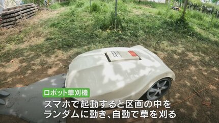 草刈機　実働 楽だし便利」先端技術を農業に活用 ロボット草刈り機 作業の効率化や