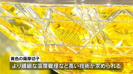 グラスも皿も黄色一色 「黄色」の薩摩切子復元35周年記念イベント
