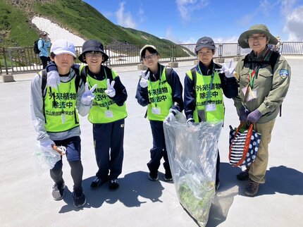 気温19度の別世界 雲上の立山で中学生が外来植物の除去活動 『山の日
