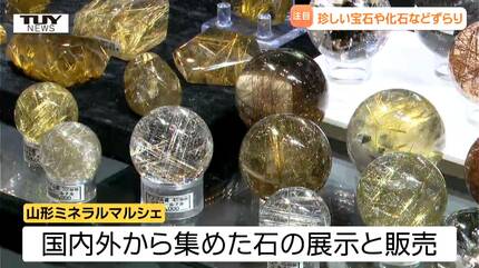 宝石、化石、隕石…キラキラした貴重な石などが世界中から大集合！期間