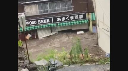 水害は人災だ: 森は死んでいる 水害は人災だ: 森は死んでいるΩ