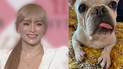 浜崎あゆみ】愛犬「ポテト」が乳がん手術に「神様はなぜ更にこの子に