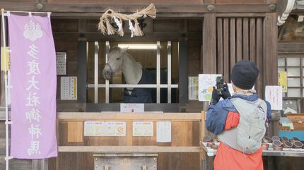 来年の干支「午年」にちなんだ書を多度大社に奉納 天に駆け上がるよう